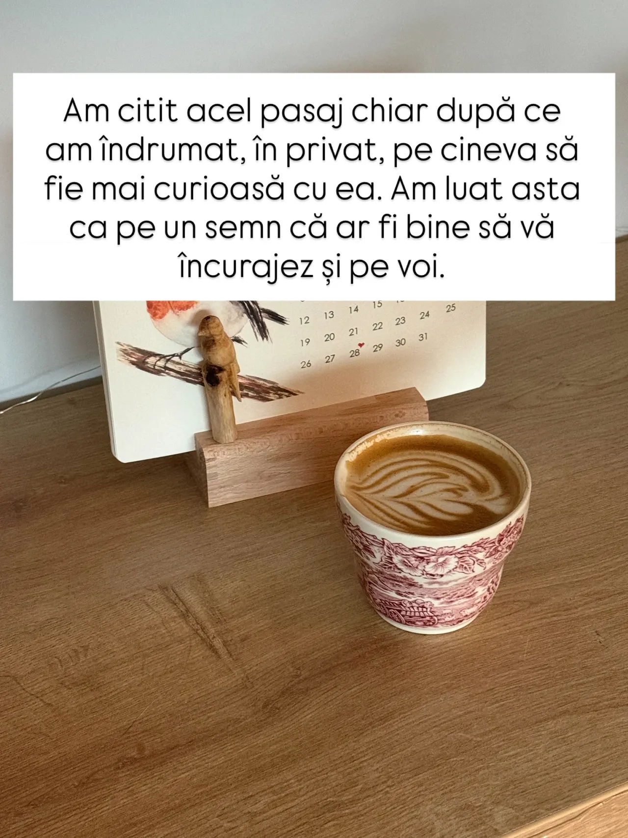 Am citit acel pasaj chiar după ce