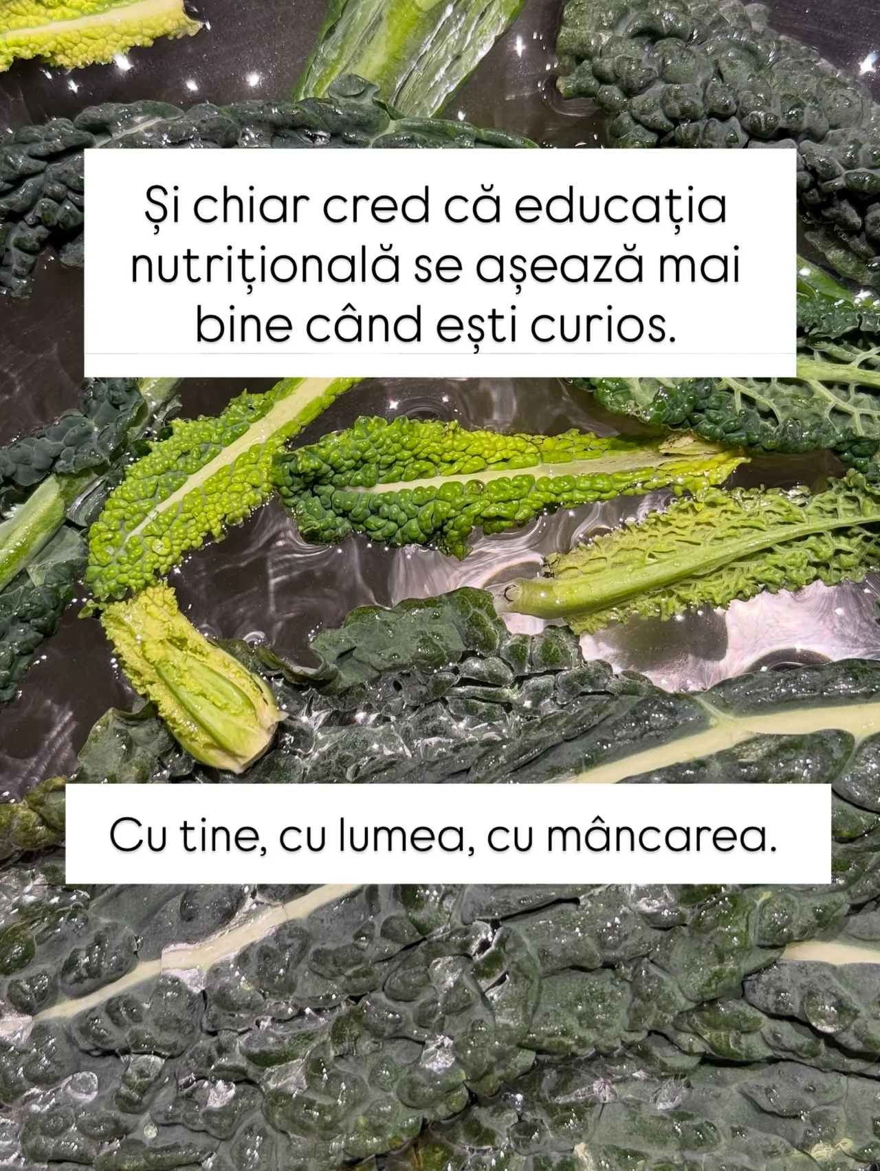 Și chiar cred că educația