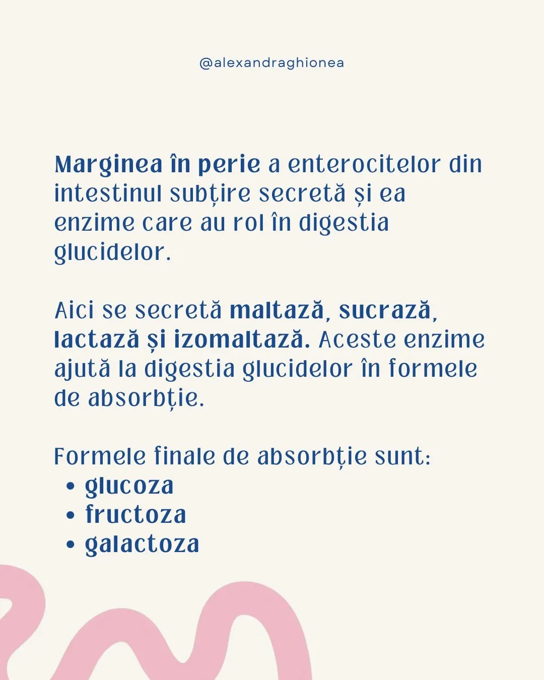 Marginea în perie a enterocitelor din