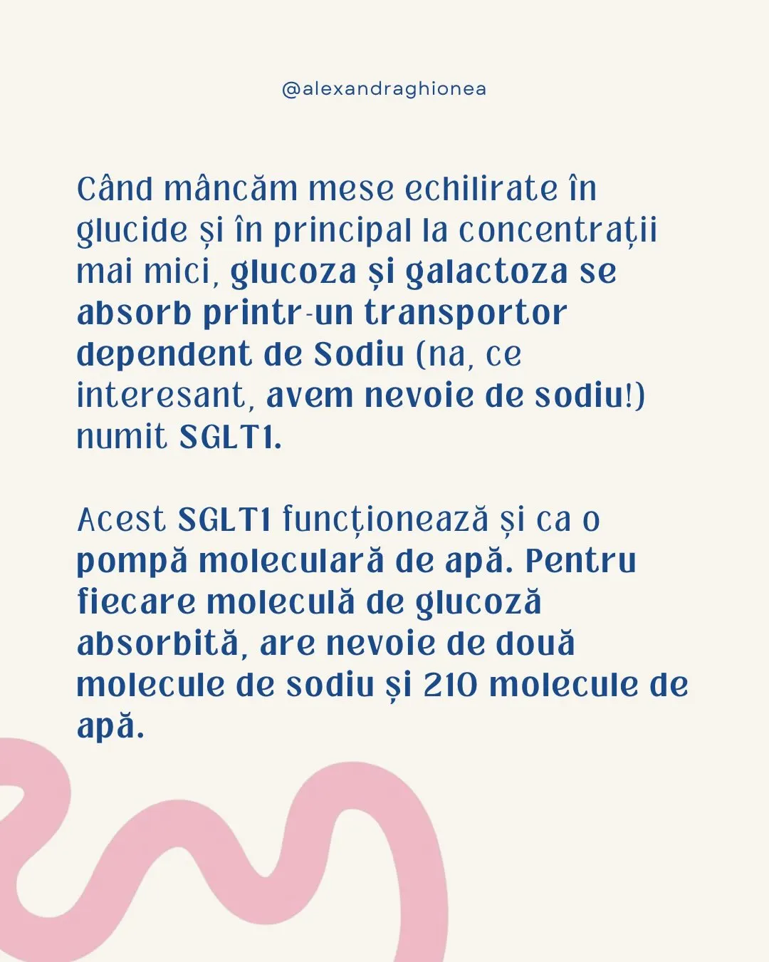 Când mâncăm mese echilirate în