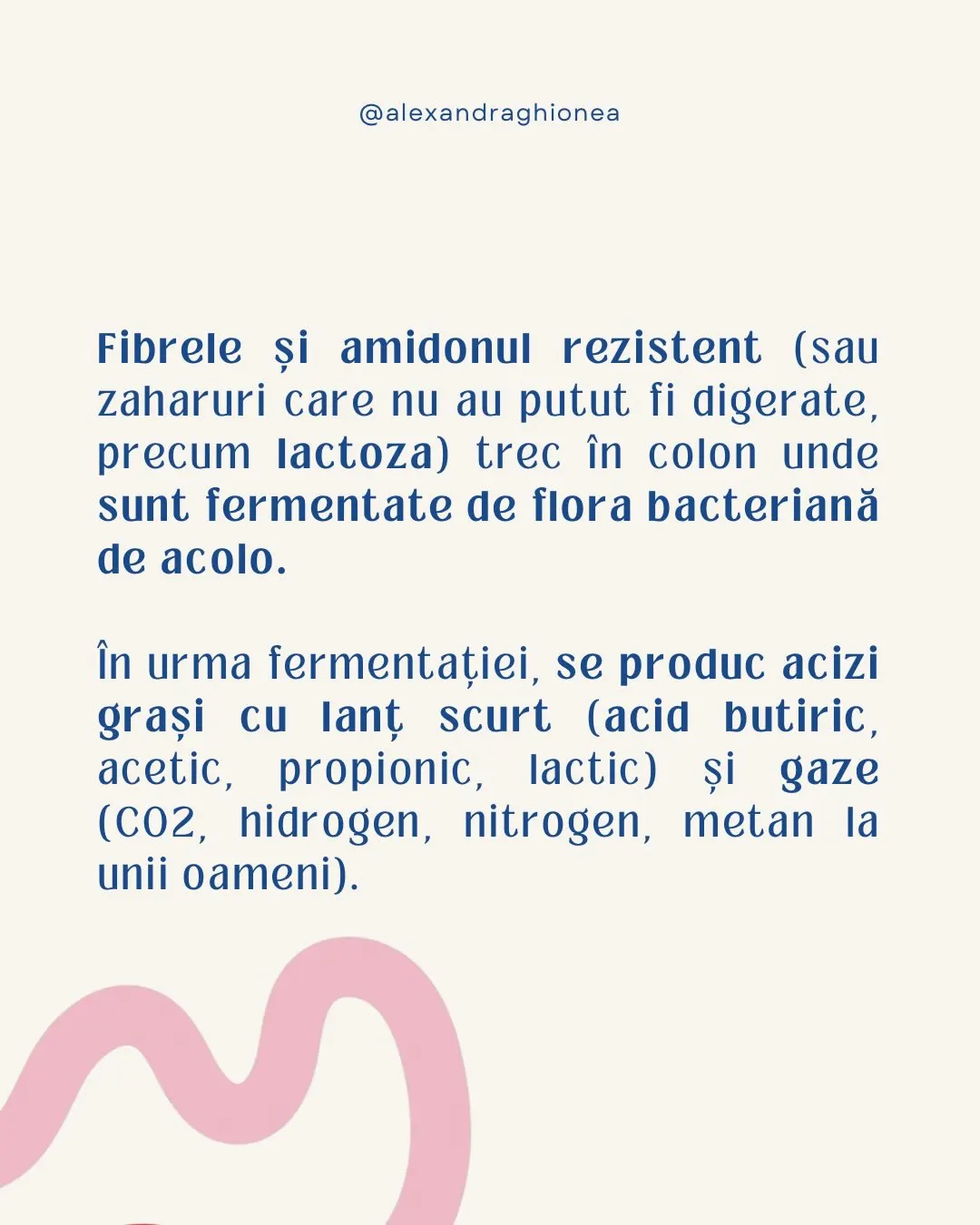 Fibrele și amidonul rezistent (sau