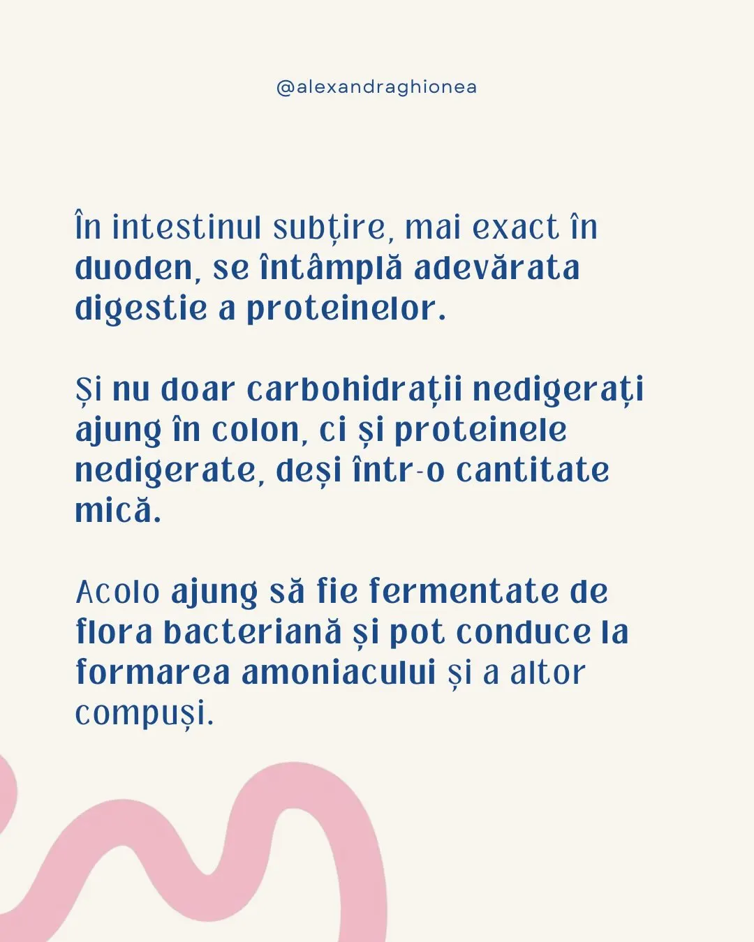 în intestinul subțire, mai exact în