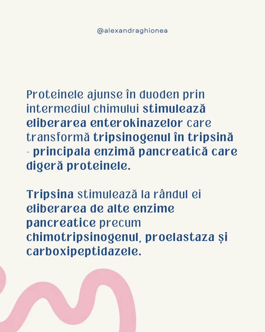 Proteinele ajunse în duoden prin