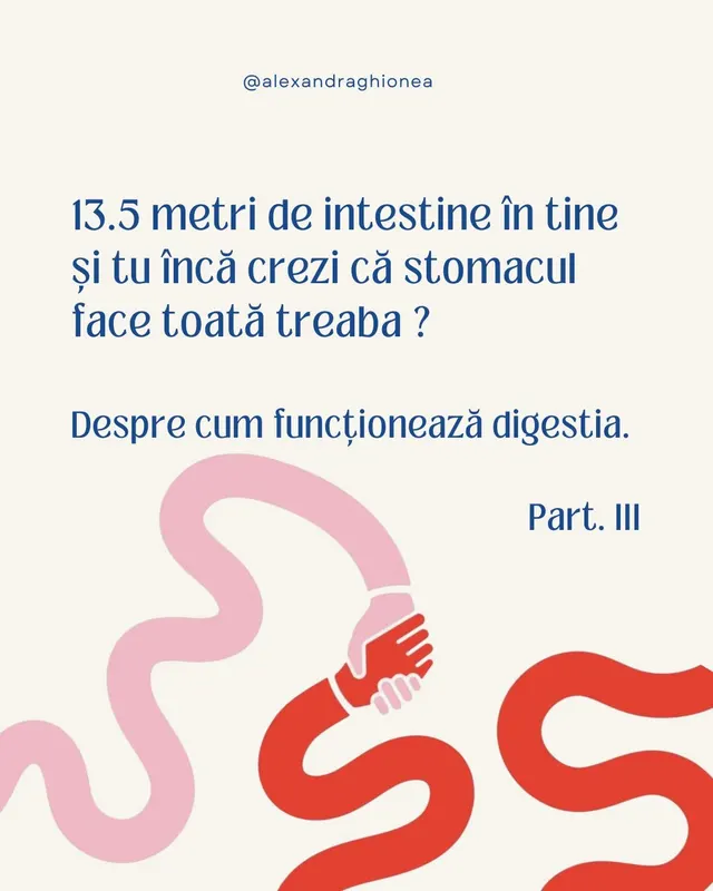 13.5 metri de intestine în tine