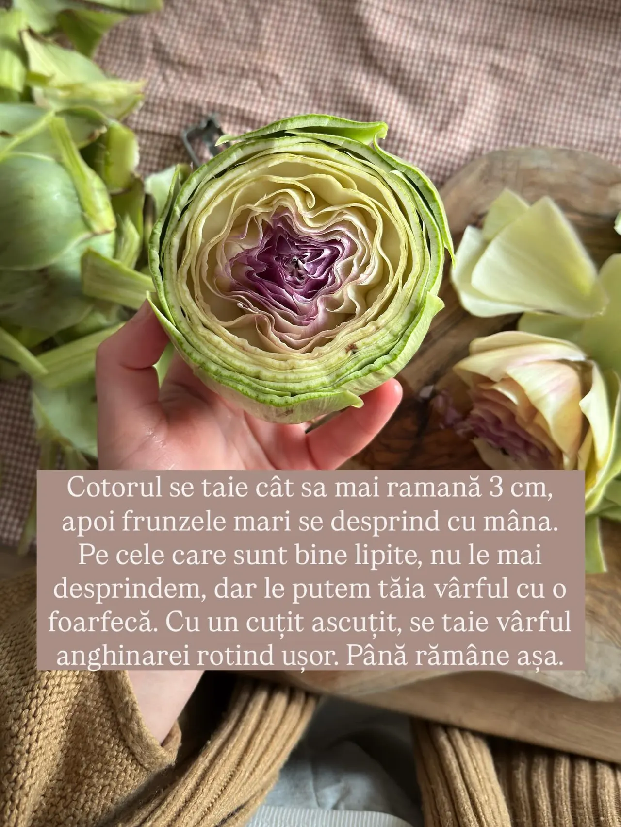 Cotorul se taie cât sa mai ramană 3 cm,