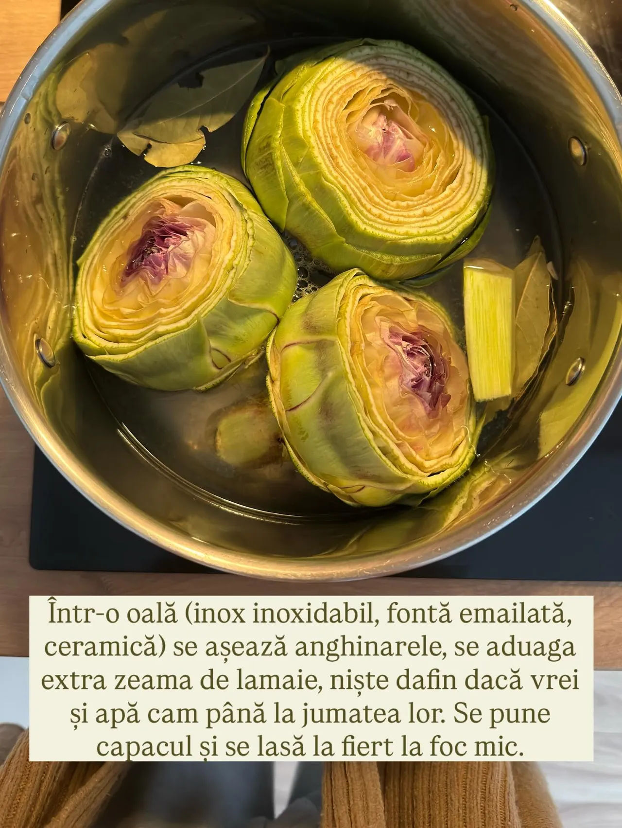 Într-o oală (inox inoxidabil, fontă emailată,