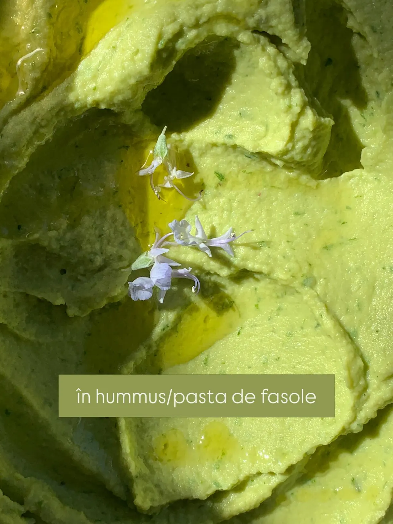 în hummus/pasta de fasole