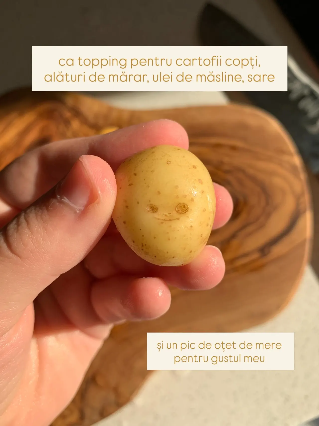 ca topping pentru cartofii copți,