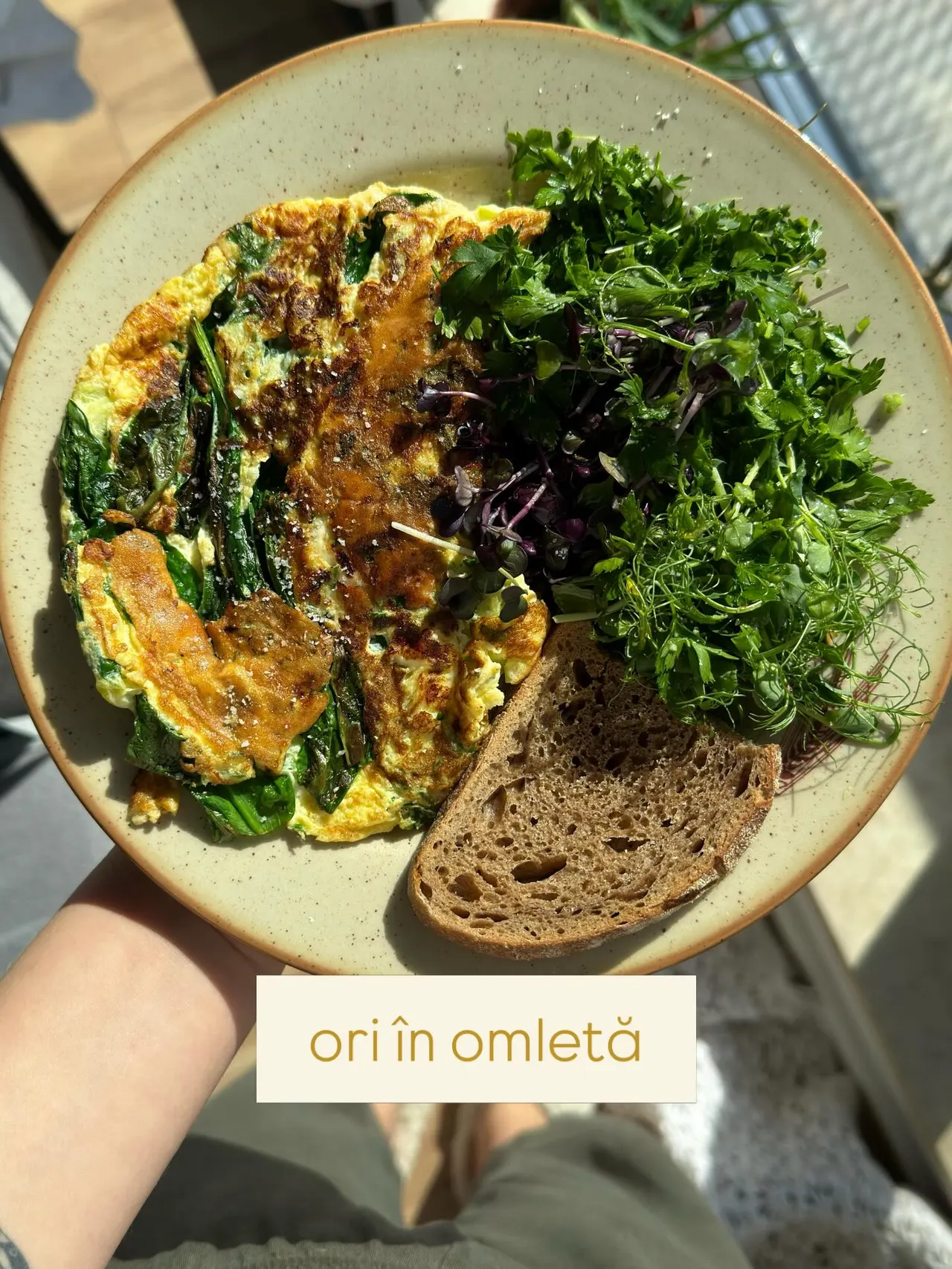 oriîn omletă