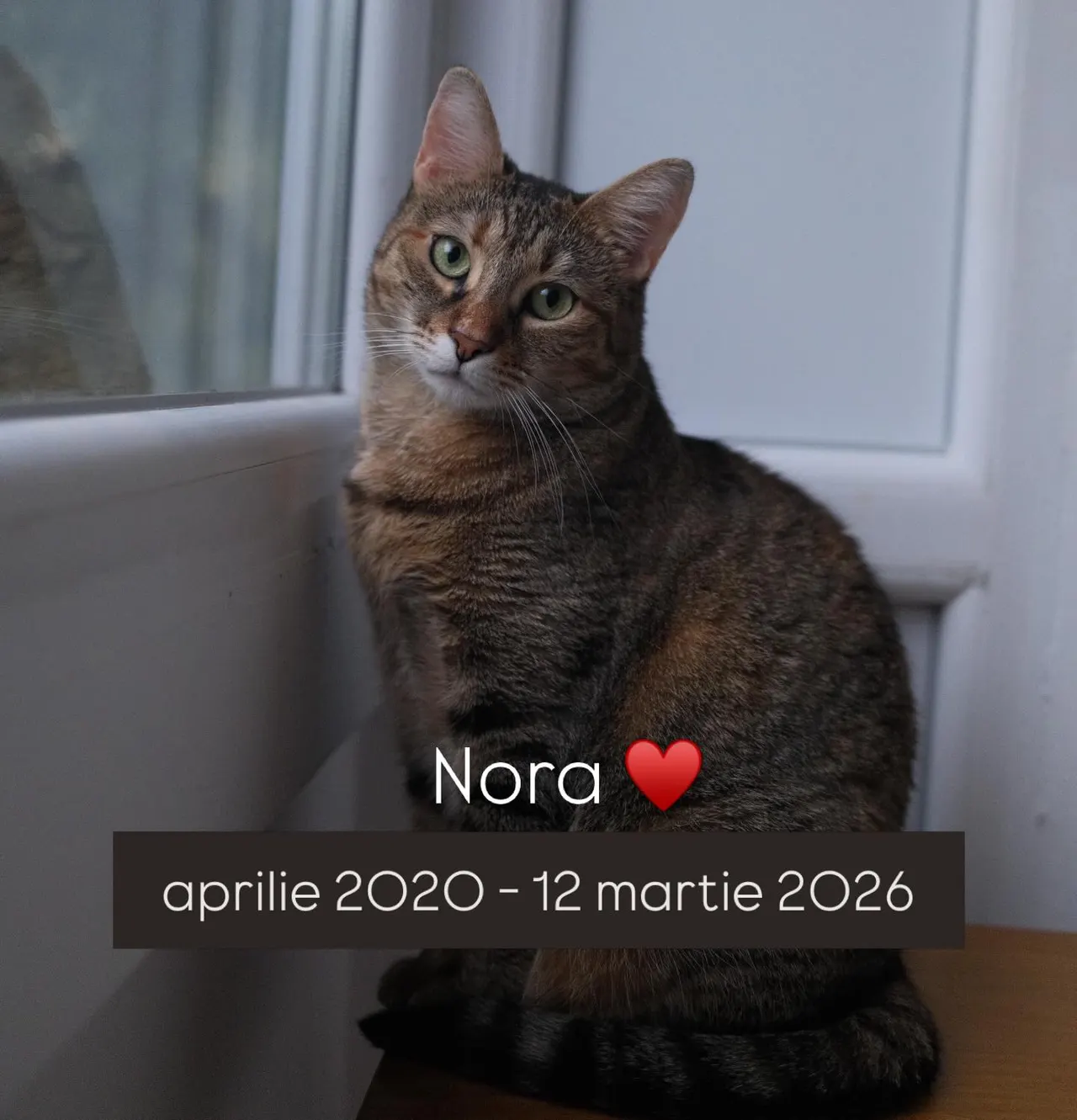 Nora
