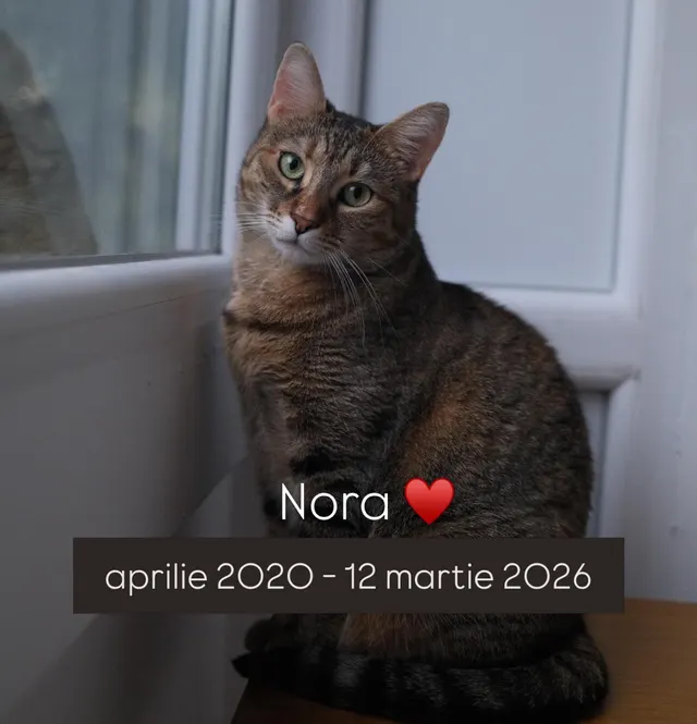 Nora