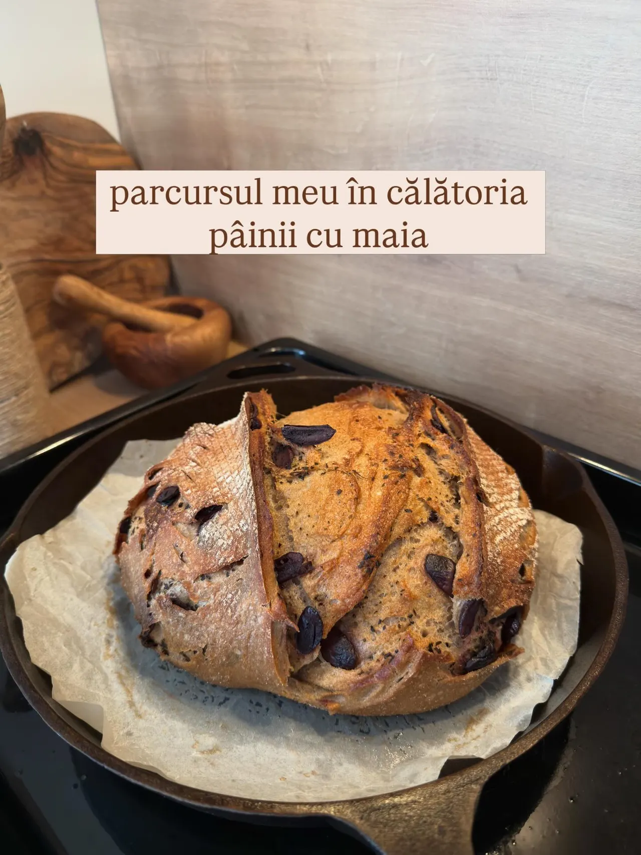 parcursul meu în călătoria
