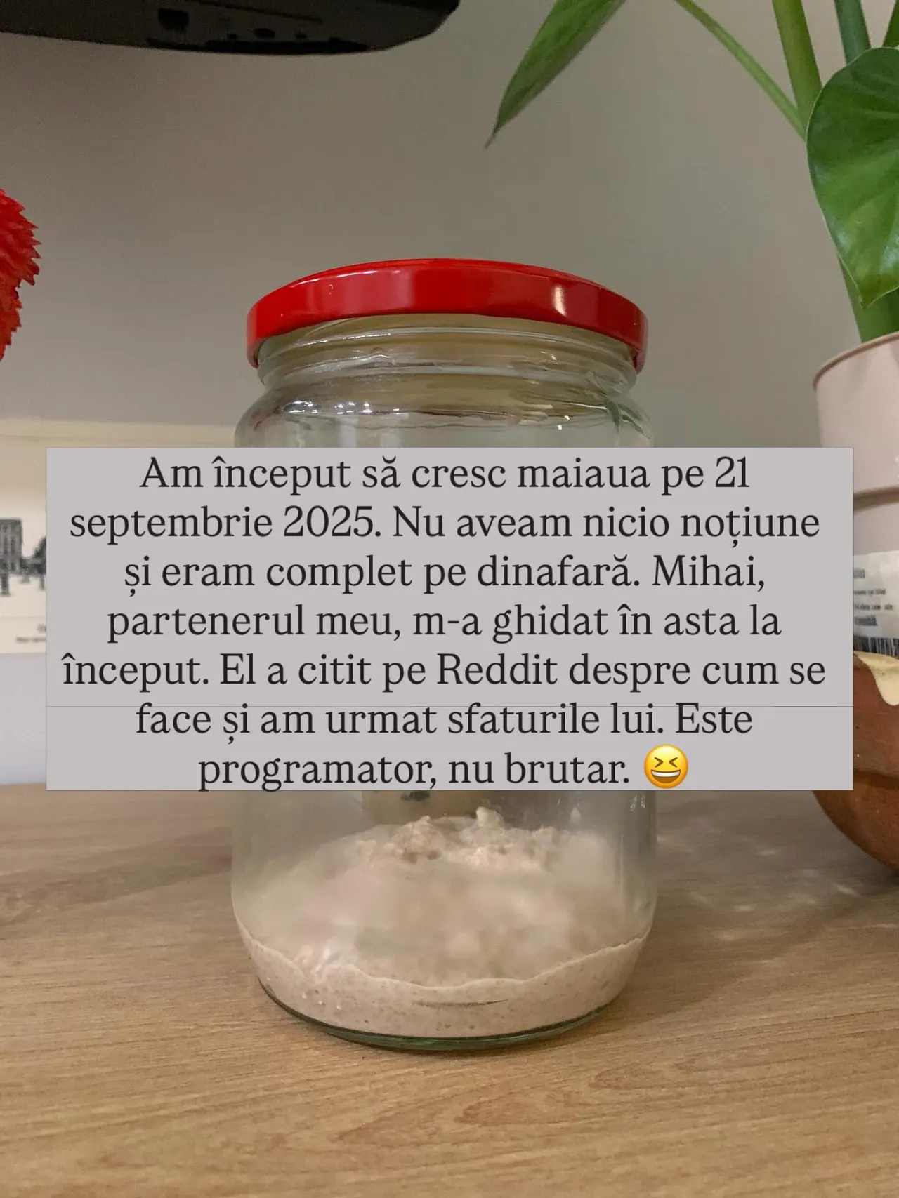 Am început să cresc maiaua pe 21