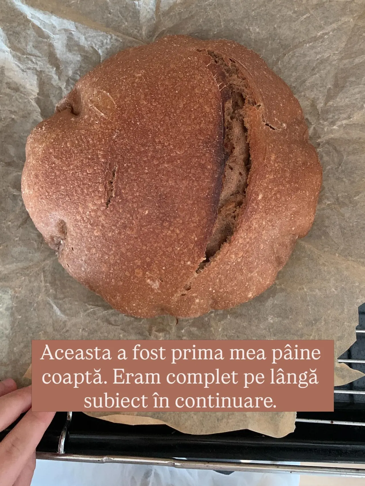 Aceasta a fost prima mea pâine