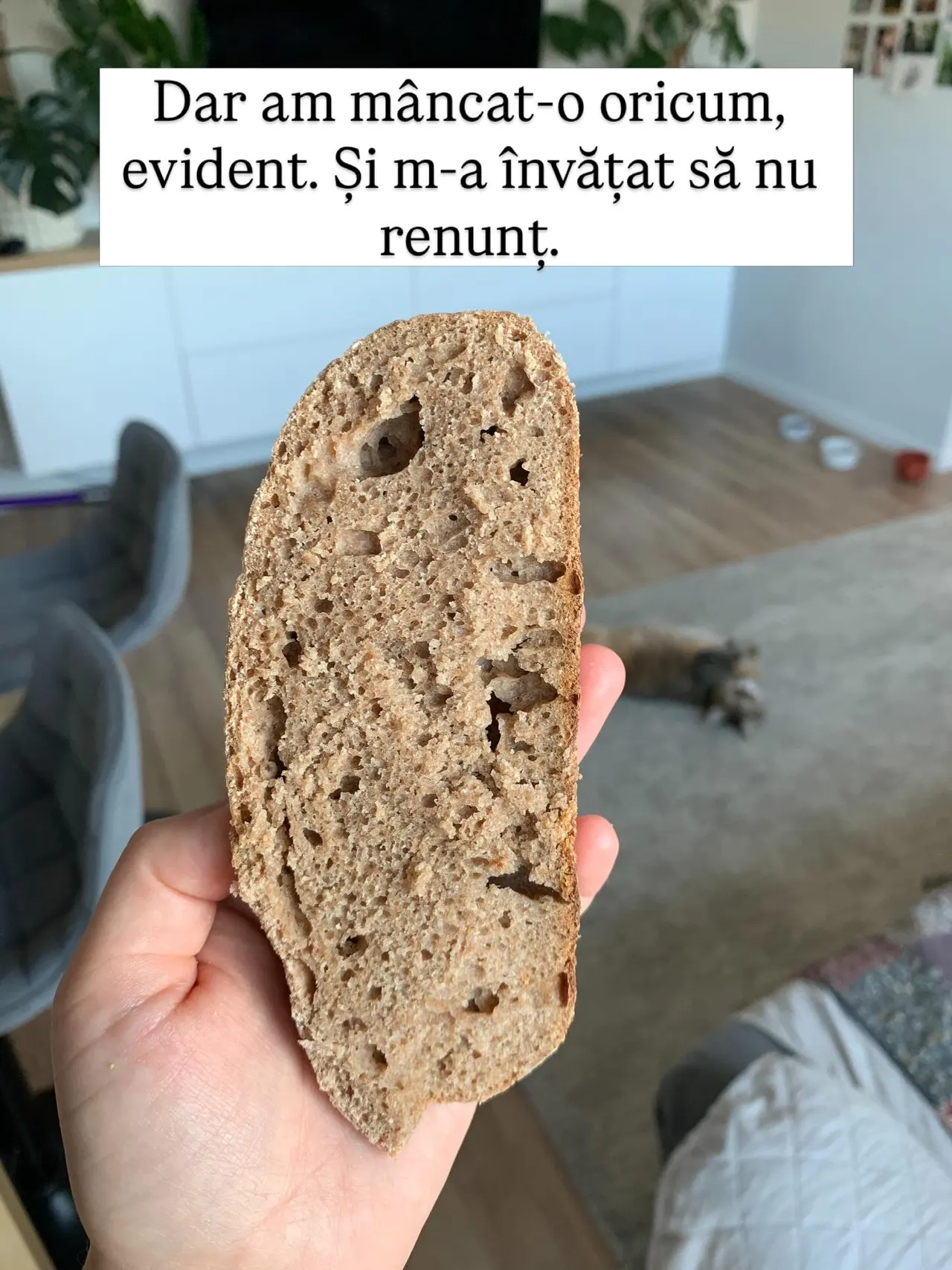Dar am mâncat-o oricum,