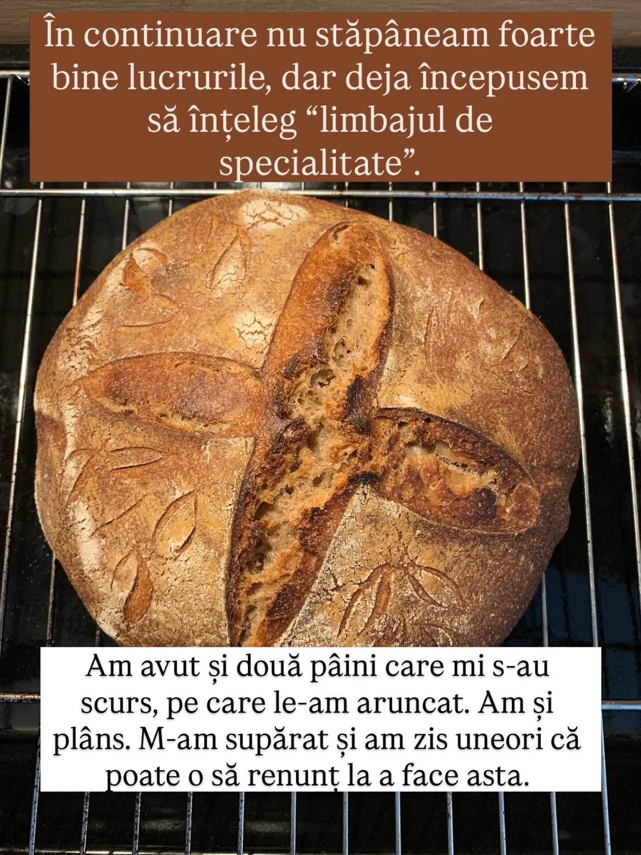 În continuare nu stăpâneam foarte