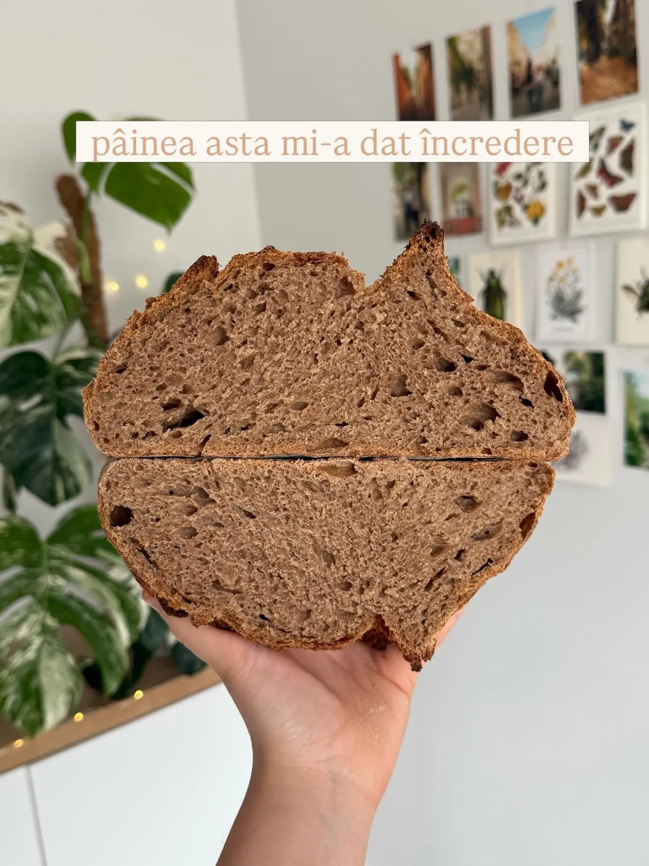 pâinea asta mi-a dat încredere
