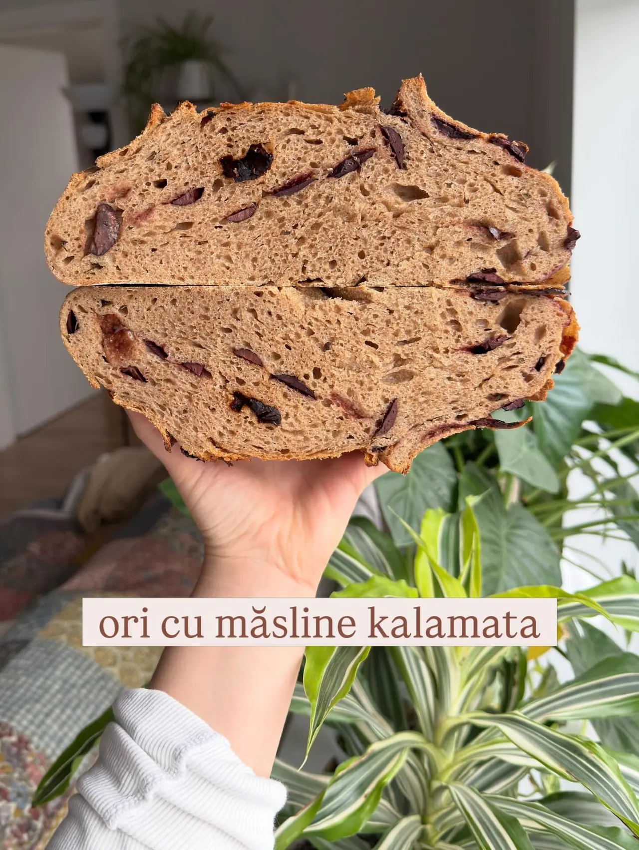 ori cu măsline kalamata