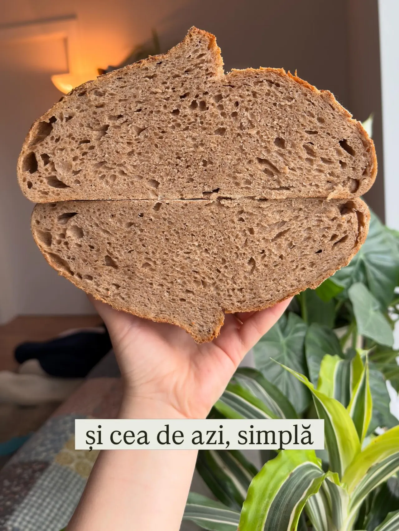 și cea de azi, simplă