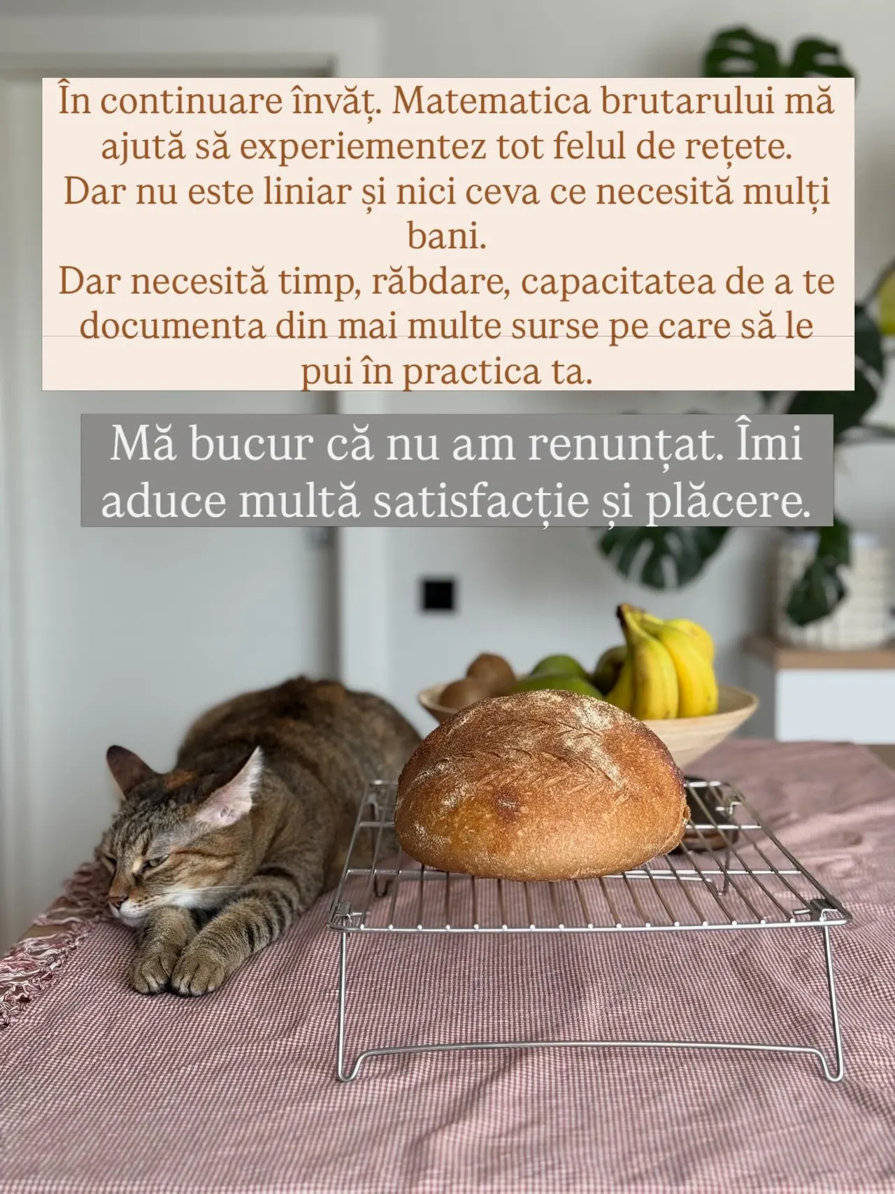 În continuare învăț. Matematica brutarului mă