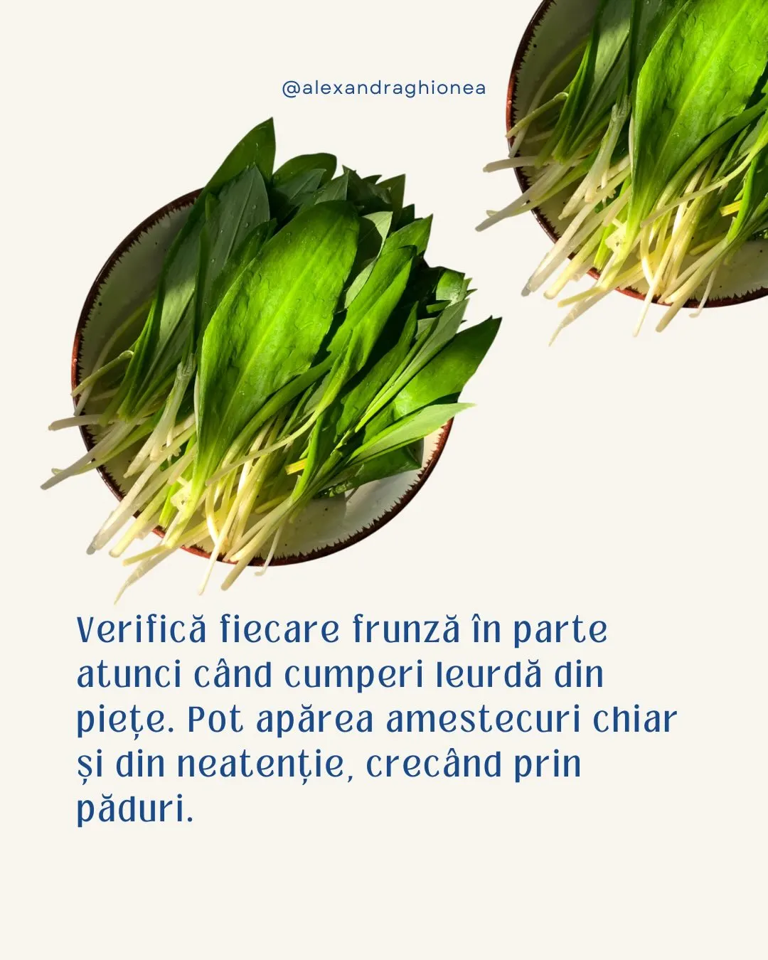 Verifică fiecare frunză în parte