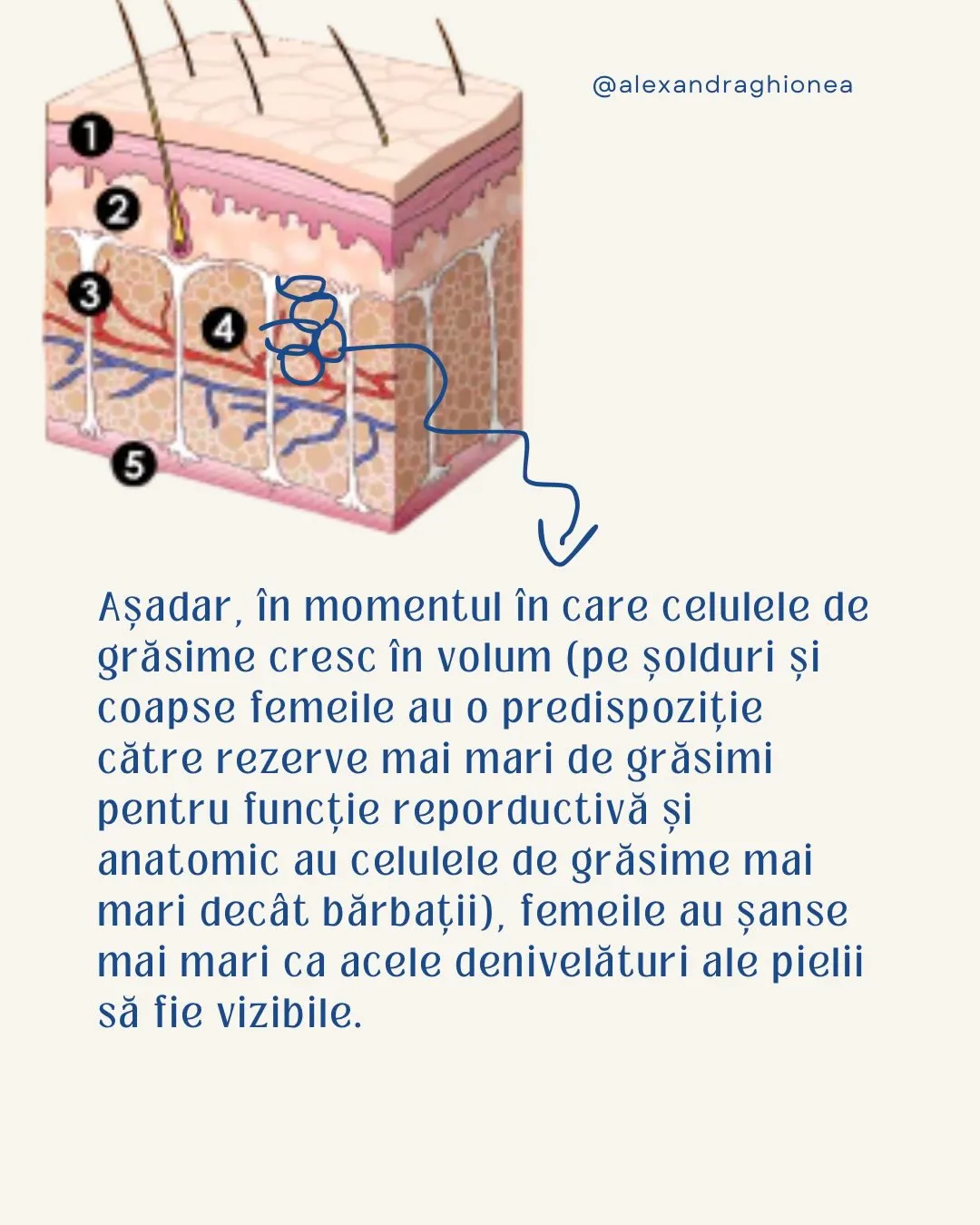 Aşadar, in momentul în care celulele de
