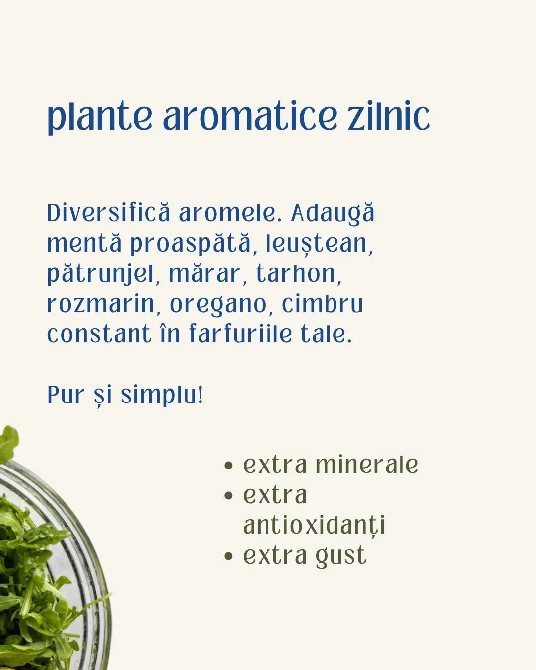 plante aromatice zilnic