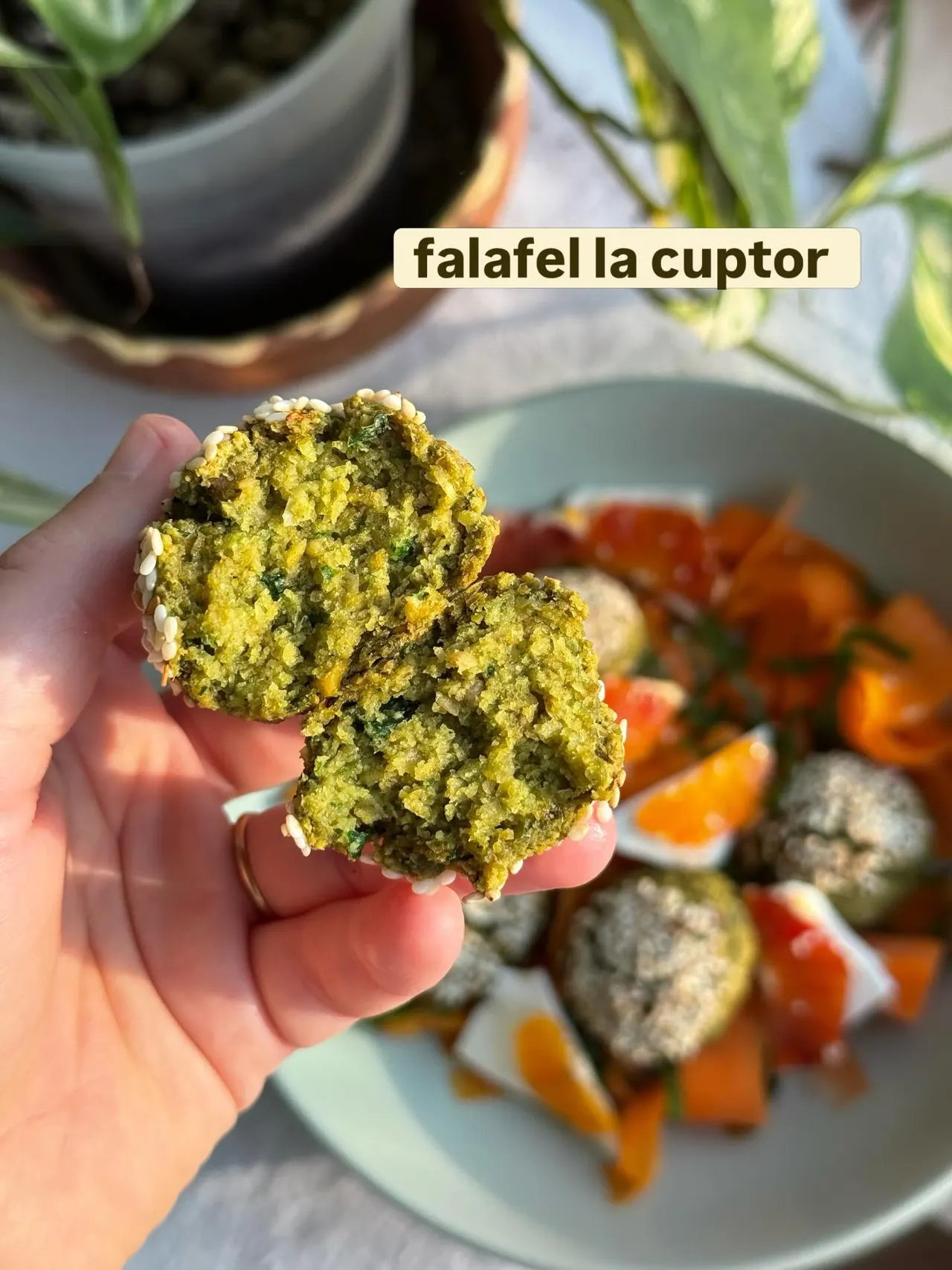 falafel la cuptor