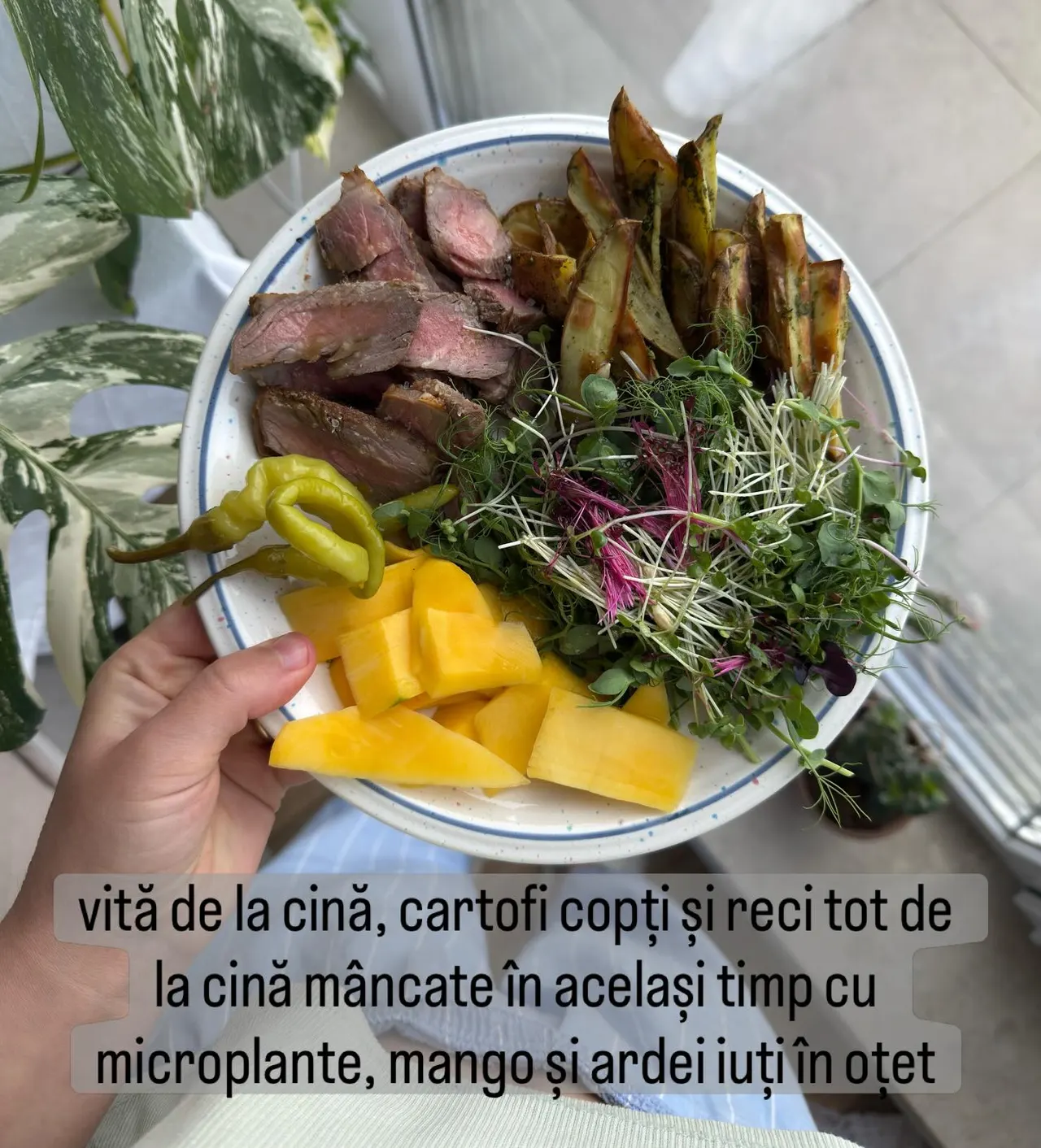 vită de la cină, cartofi copți și reci tot de