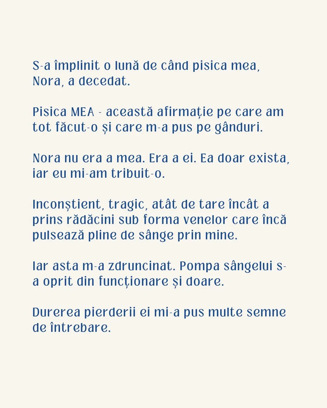 S-a împlinit o lună de când pisica mea,