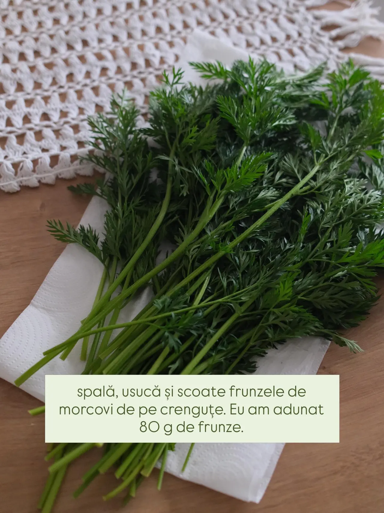 spală, usucă și scoate frunzele de