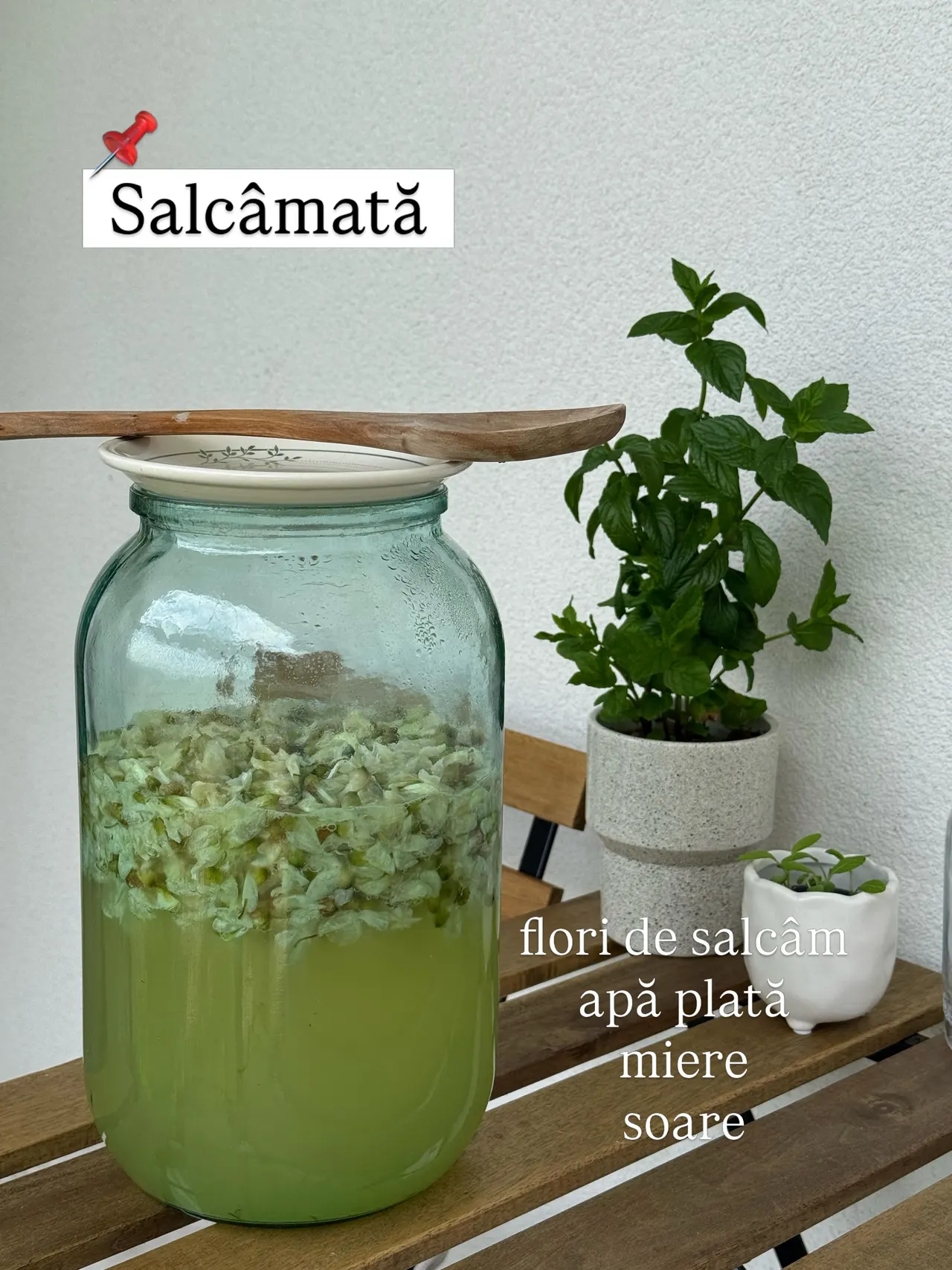 Salcâmată