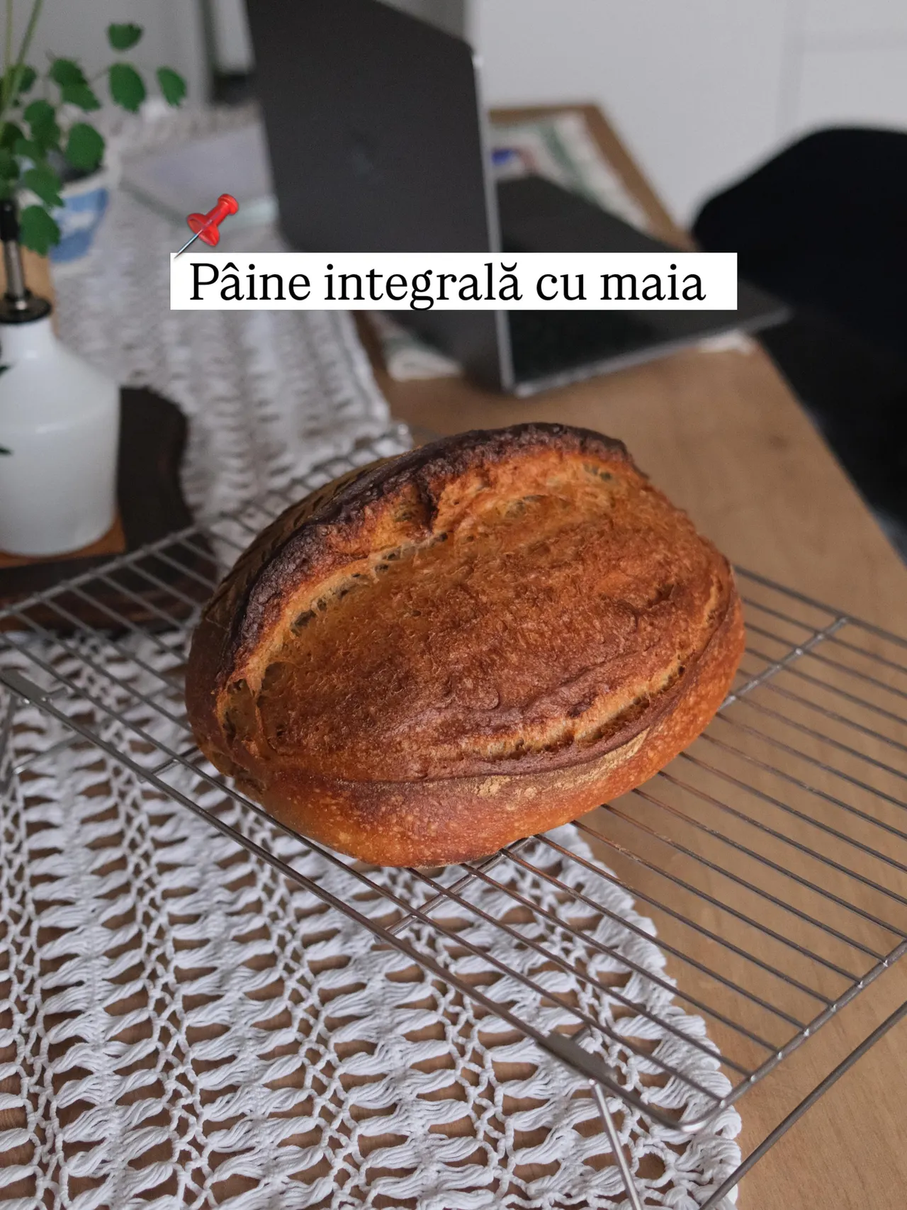 Pâine integrală cu maia