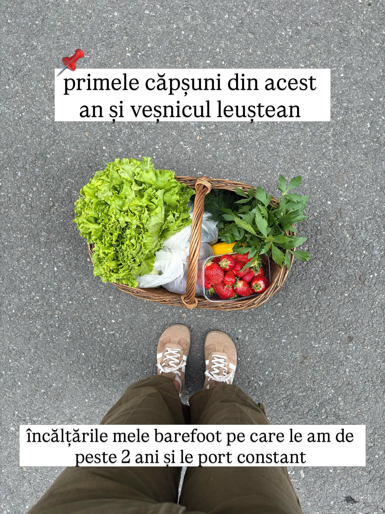 primele căpșuni din acest
