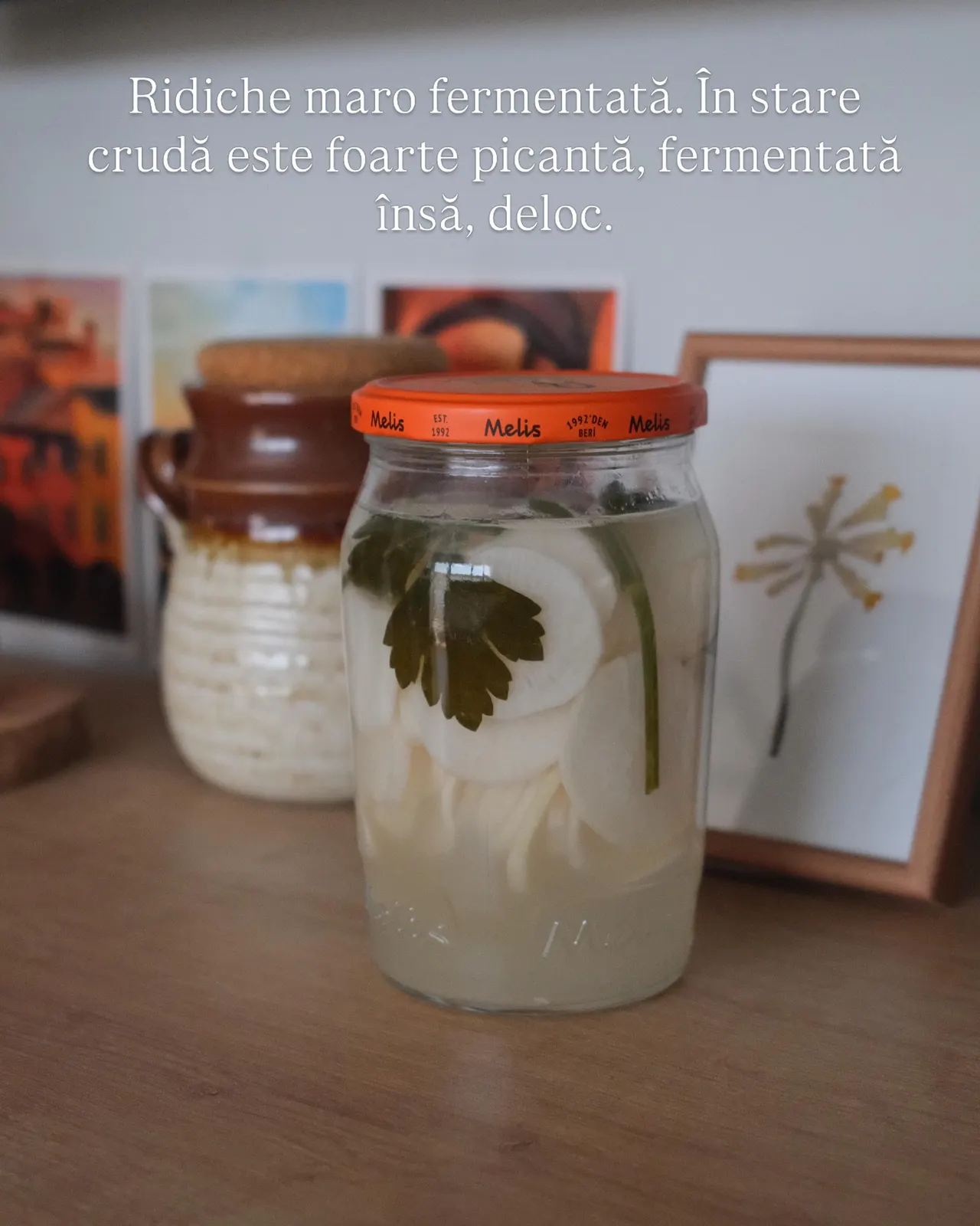Ridiche maro fermentată. În stare