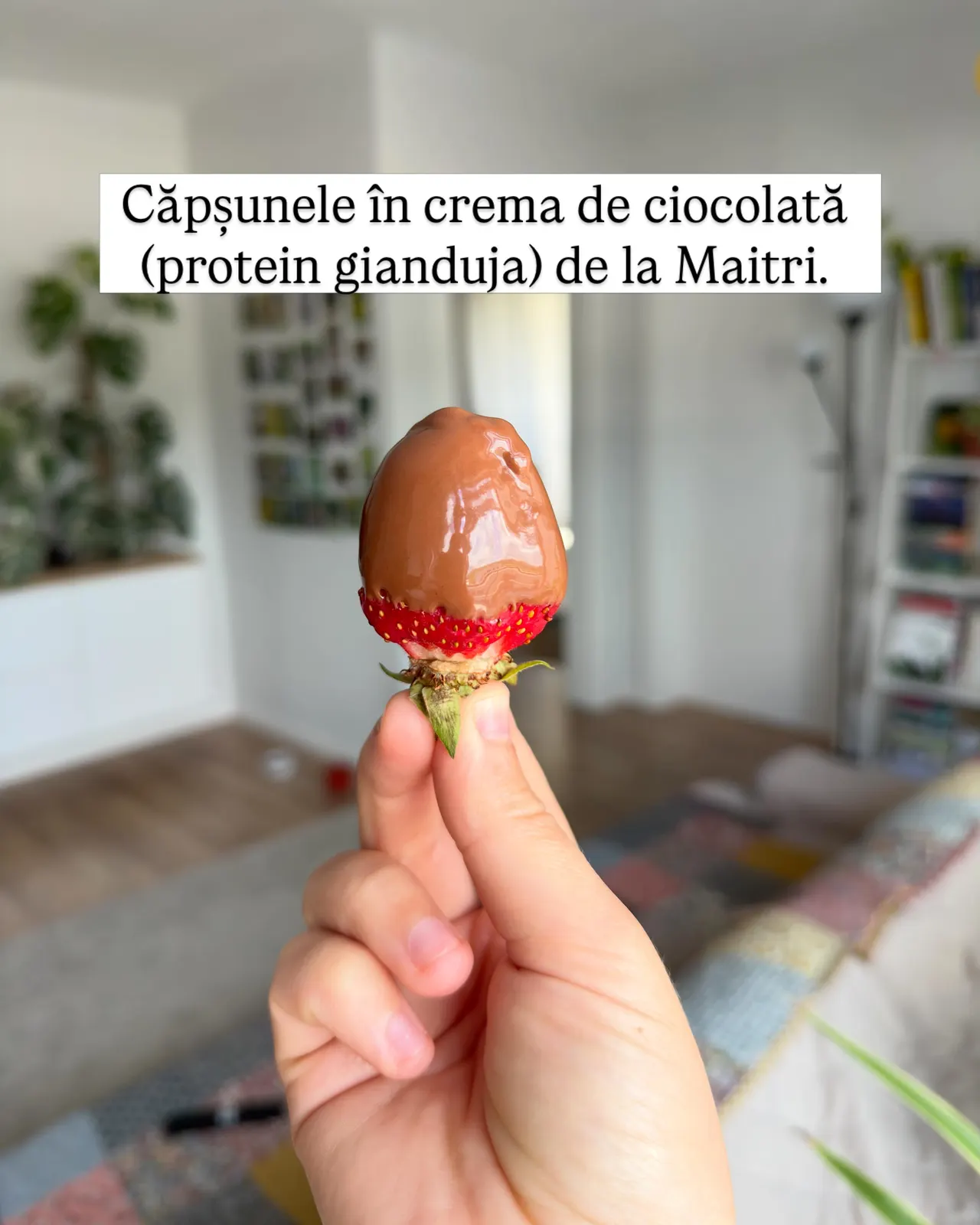 Căpșunele în crema de ciocolată