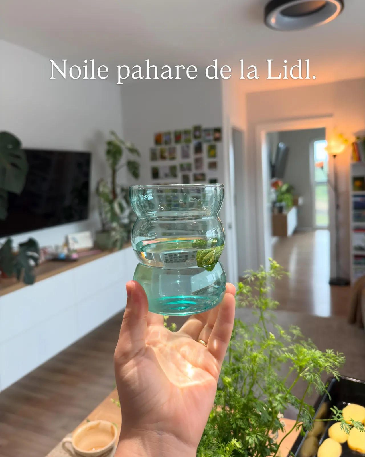 Noile pahare de la Lidl.