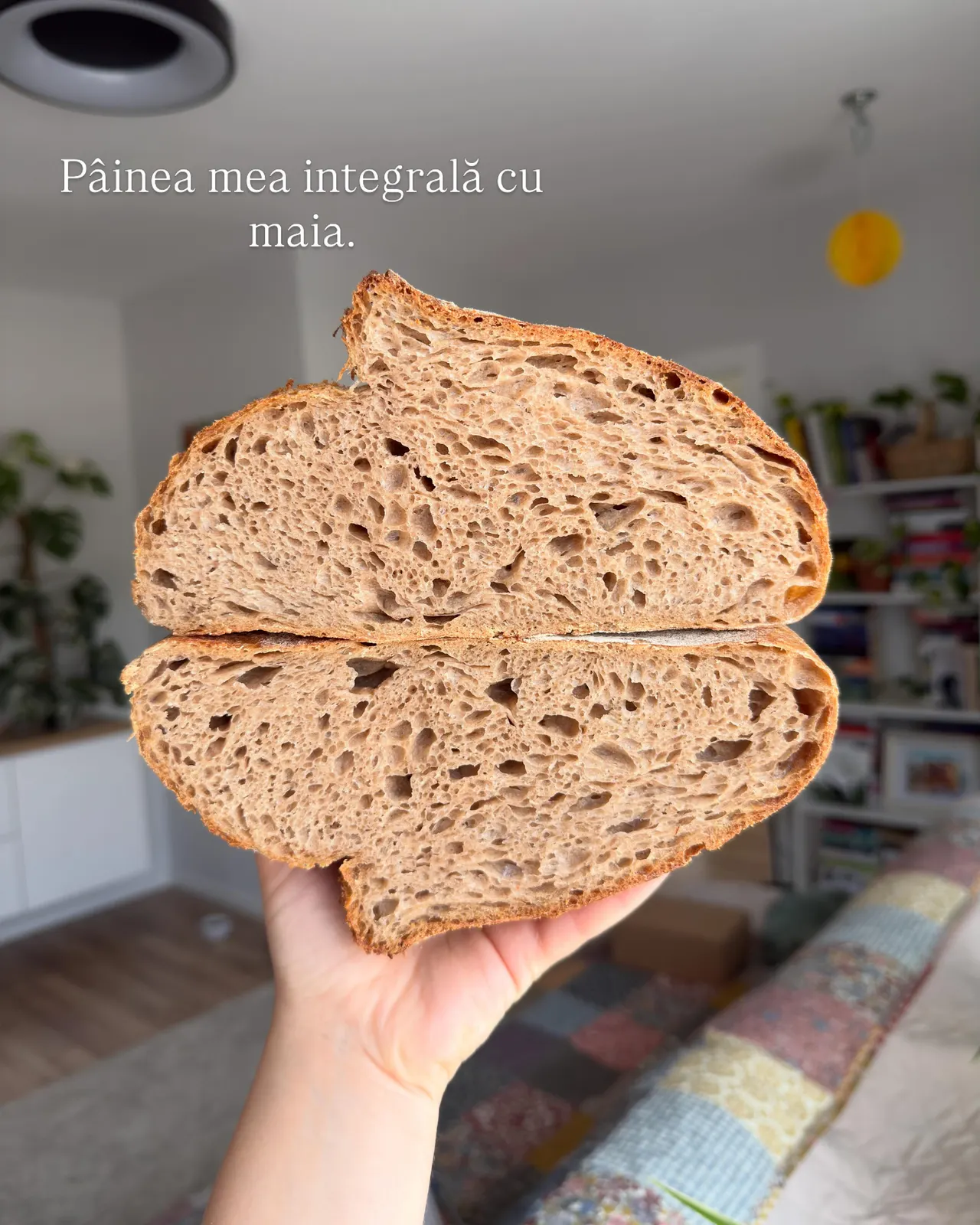 Pâinea mea integrală cu