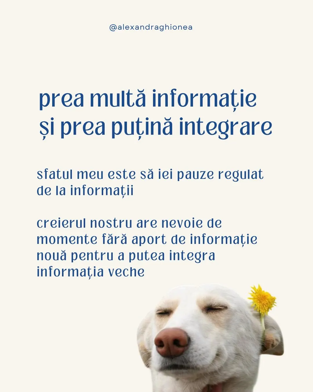 prea multă informație