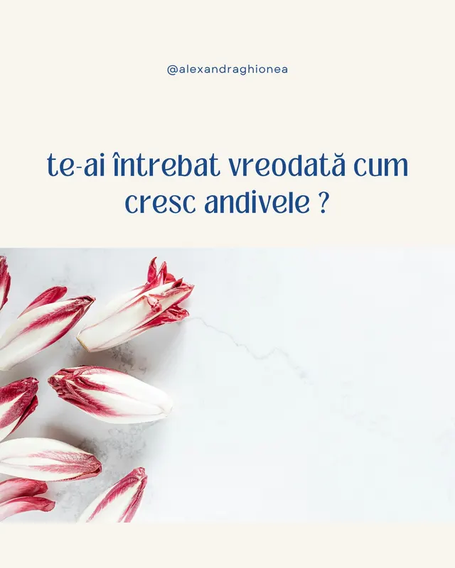 te-ai întrebat vreodată cum