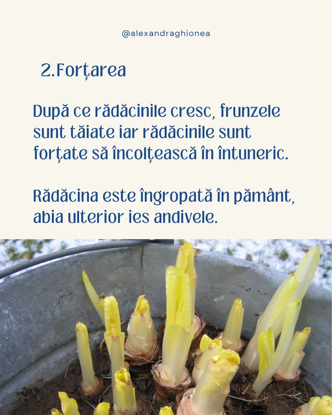 2.Forțarea