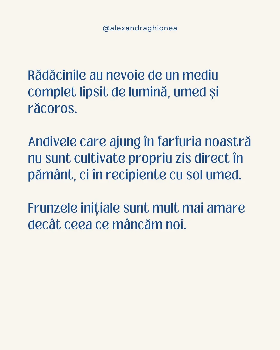 Rădăcinile au nevoie de un mediu