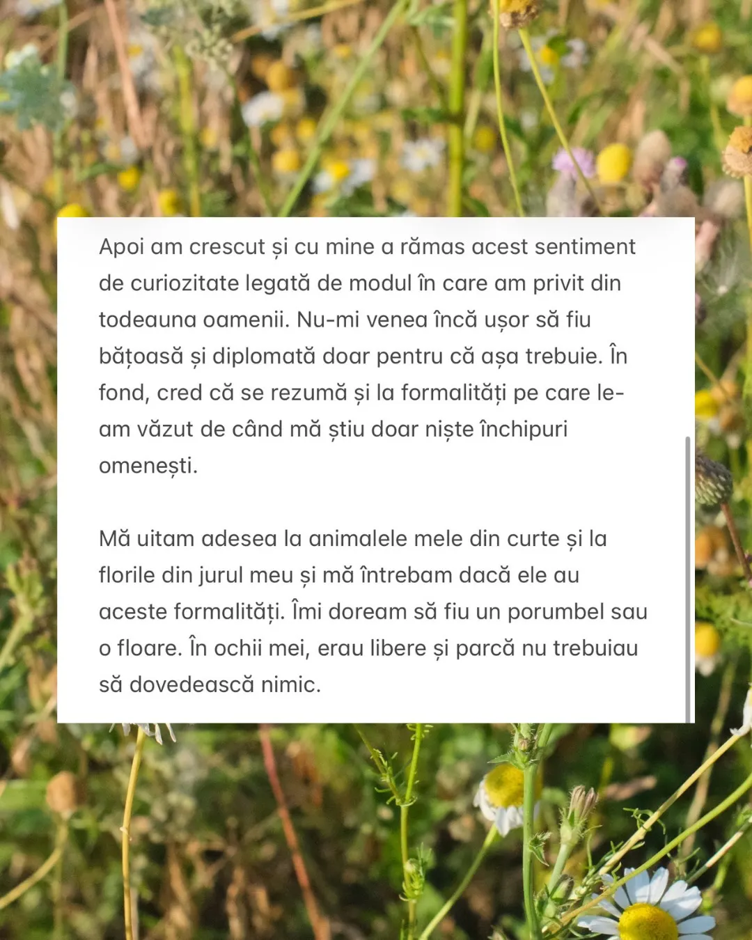 Apoi am crescut și cu mine a rămas acest sentiment