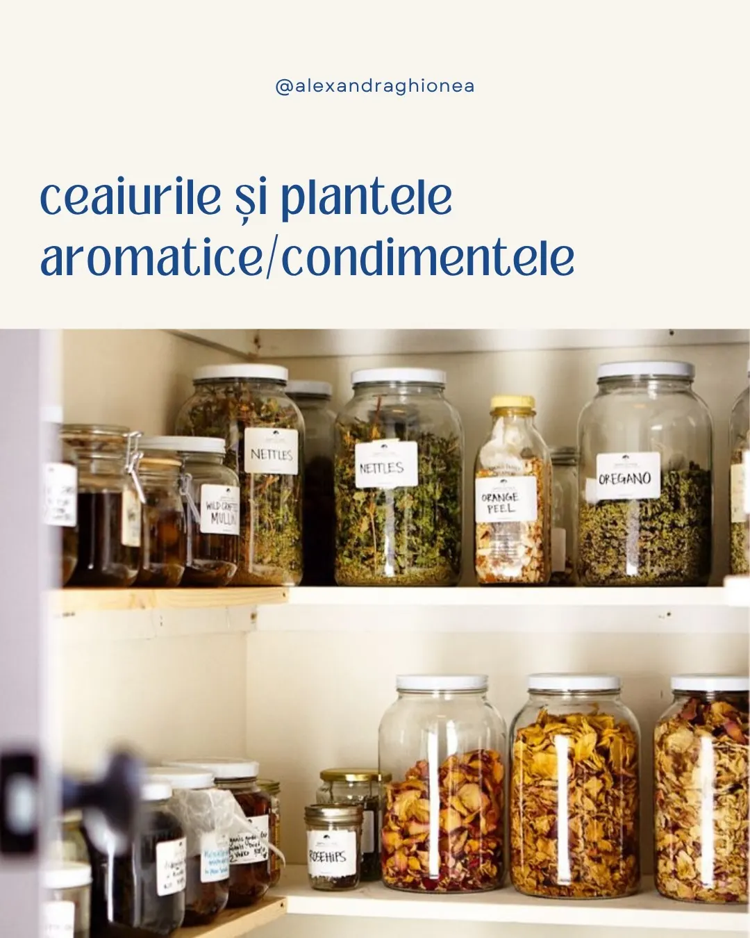 ceaiurile și plantele