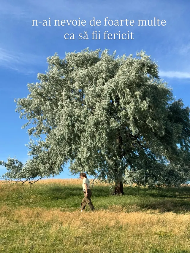 n-ai nevoie de foarte multe
