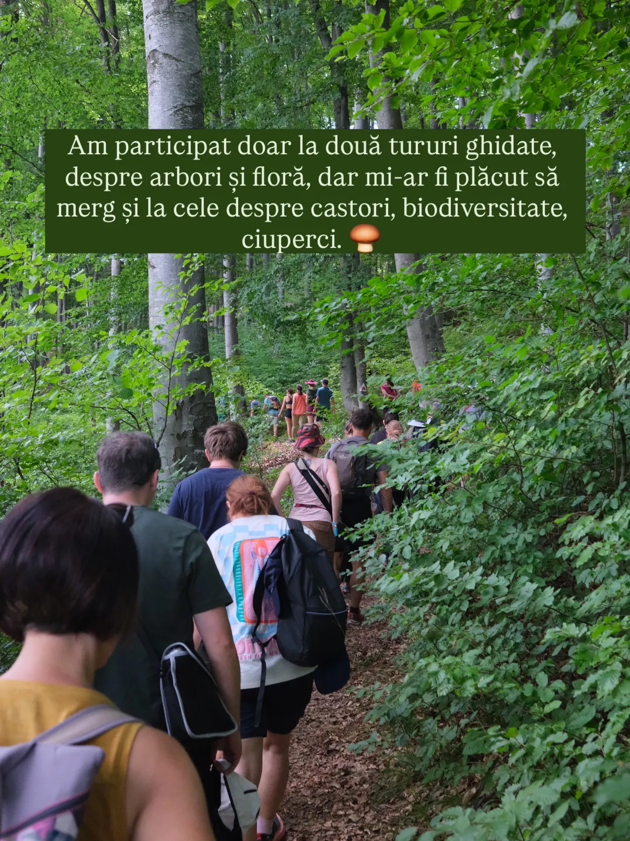 Am participat doar la două tururi ghidate,