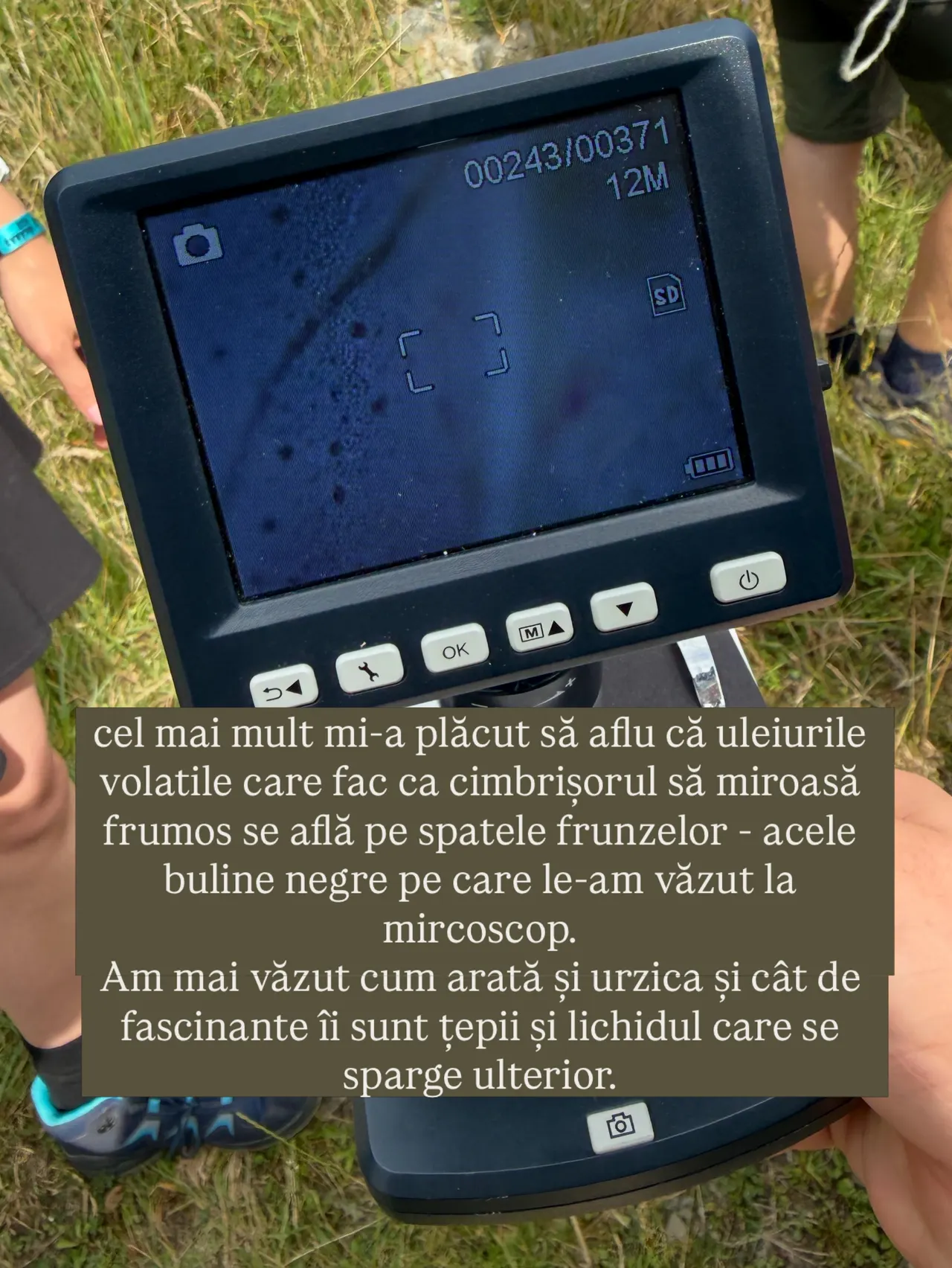 cel mai mult mi-a plăcut să aflu că uleiurile