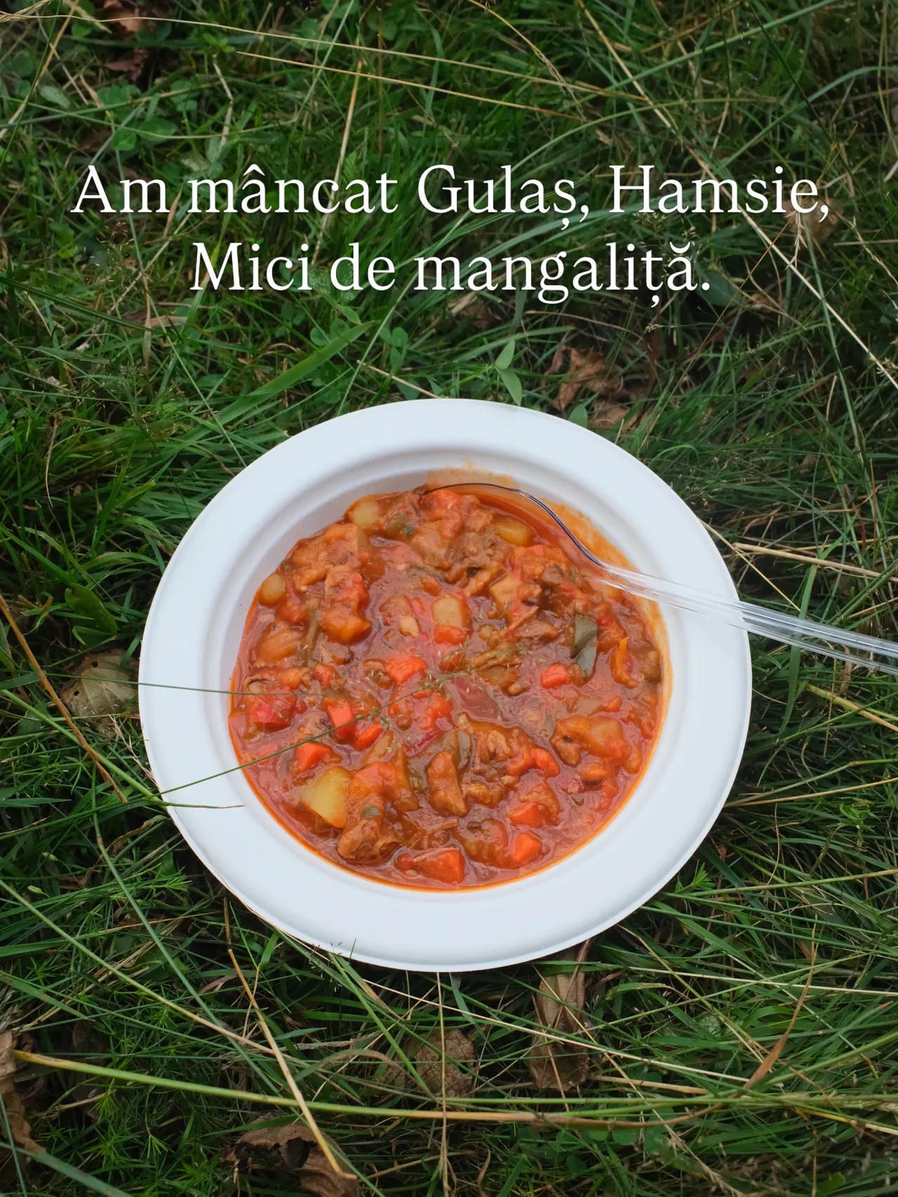 Am mâncat Gulas, Hamsie,