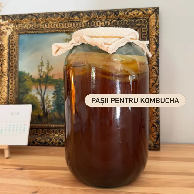 PAŞII PENTRU KOMBUCHA