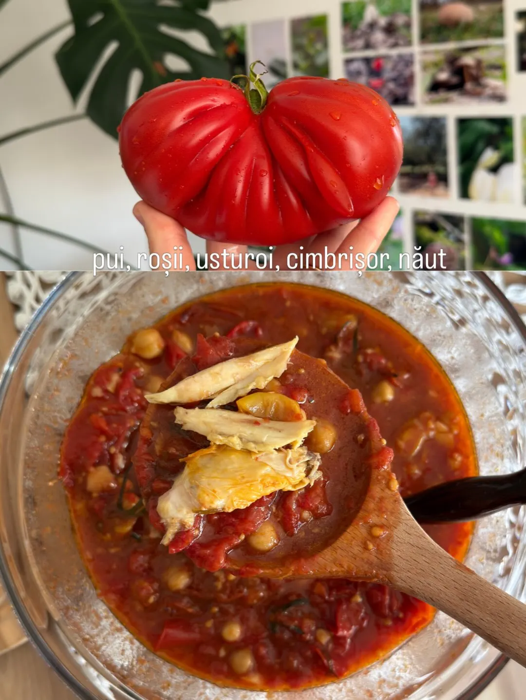 pui, roșii, usturoi, cimbrişor, năut